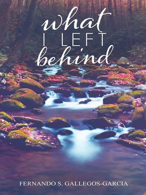 cover image of What I Left Behind
